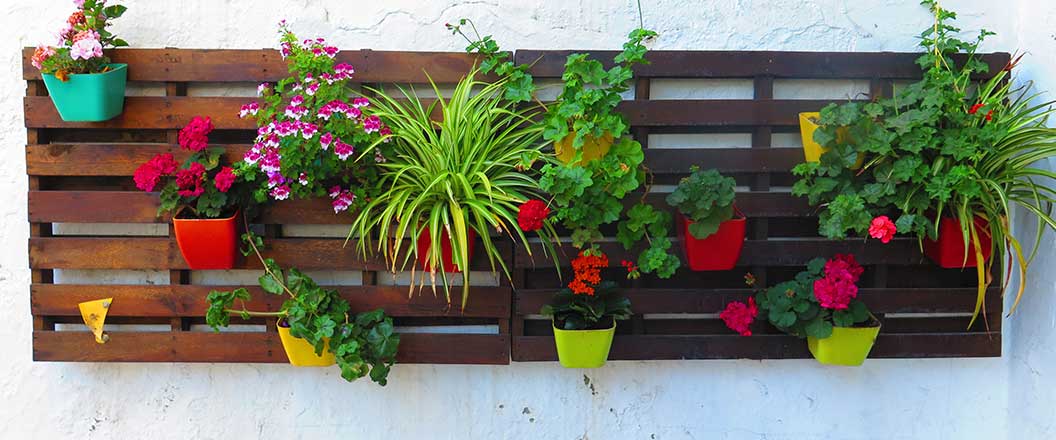 Pallets used as a wall planter